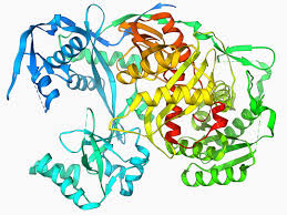 Protein structure render